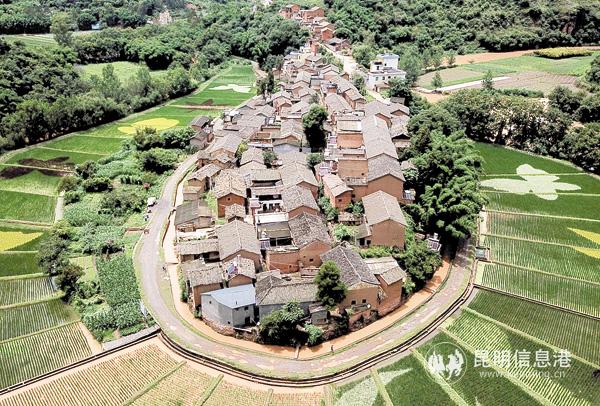 DJI_0174-