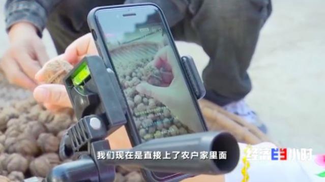 核桃