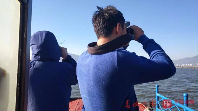 海鸥