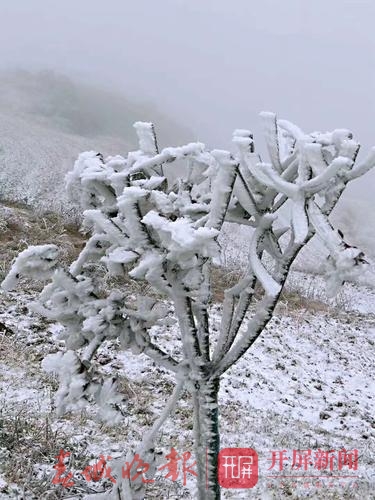 永善冰雪5.jpg