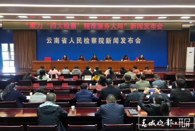 今年1至11月，云南检方批捕批捕涉黑涉恶犯罪1024件4090人.jpg