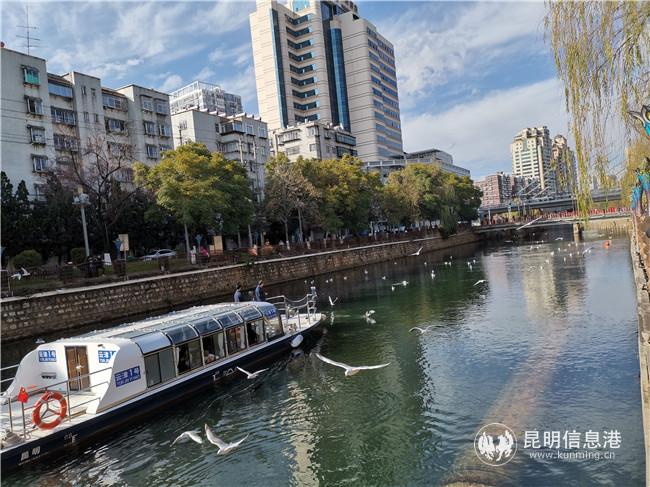 船行碧波，红嘴鸥相伴。喻军垒 摄