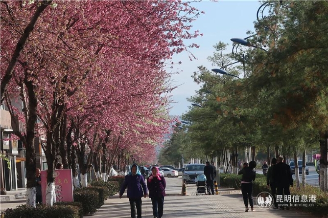 微信图片_20200102111958 微信图片_20200102111958