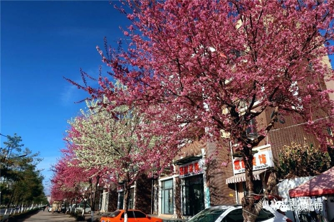 微信图片_20200103083730 微信图片_20200103083730