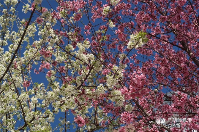 微信图片_20200102111915 微信图片_20200102111915