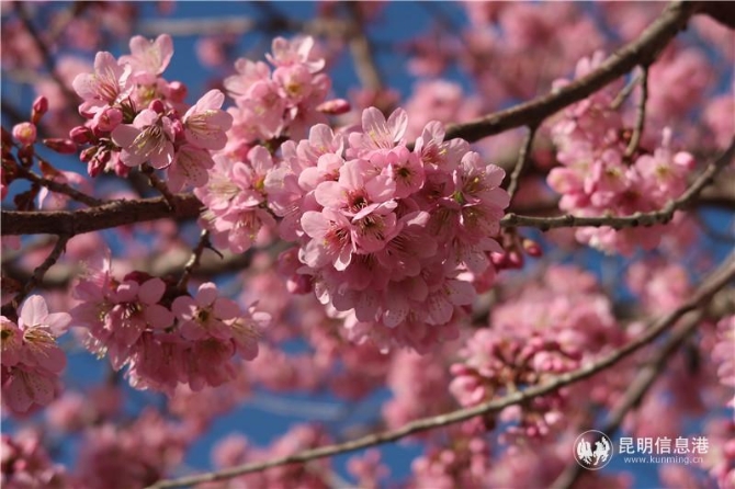 微信图片_20200102111941 微信图片_20200102111941