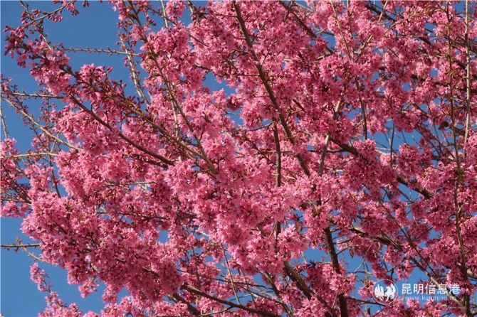 微信图片_20200102111811 微信图片_20200102111811