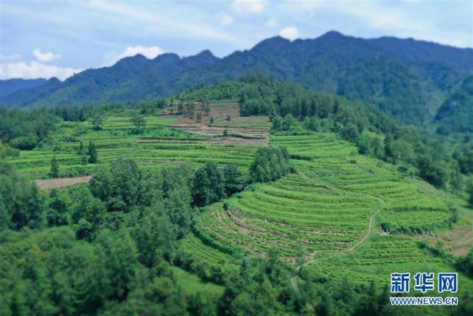 (在习近平新时代中国特色社会主义思想指引下——新时代新作为新篇章·总书记关切脱贫事·决胜贫困·图文互动)(7)易地扶贫搬迁:助力“跨越式”奔小康