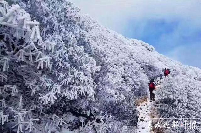 苍山雪