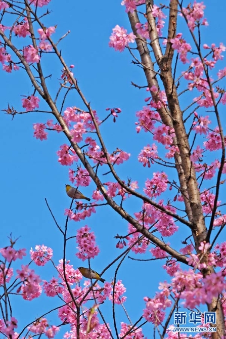 138682570_15783030657291n