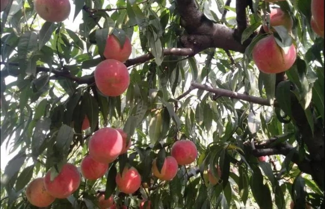 微信图片_20200109183217