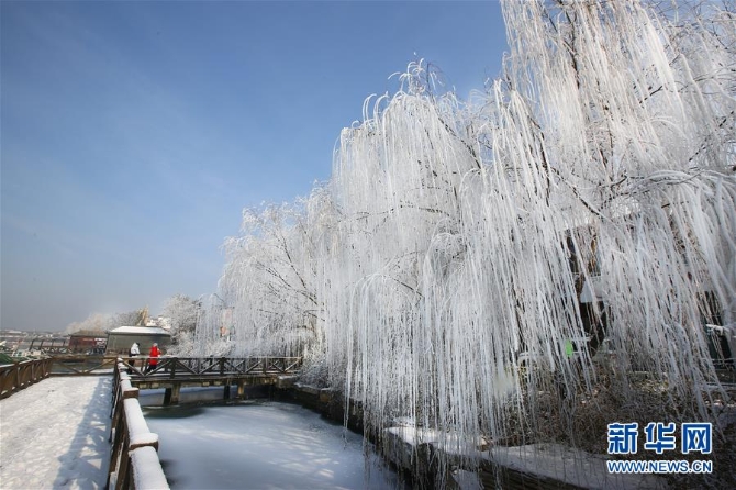 山东聊城3 山东聊城3