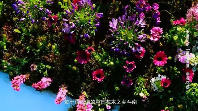 360截图20200119143725694.jpg