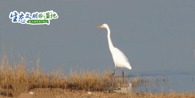 20200118114253343203