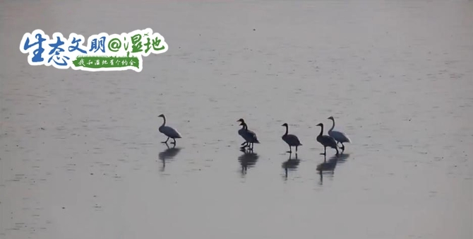 20200118114255803964