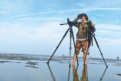 红树林2 红树林2