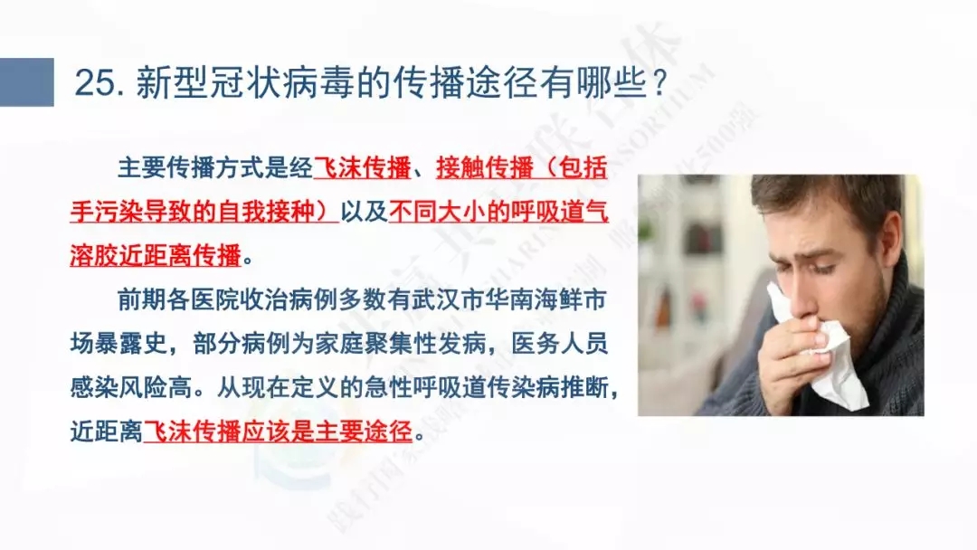 11.webp