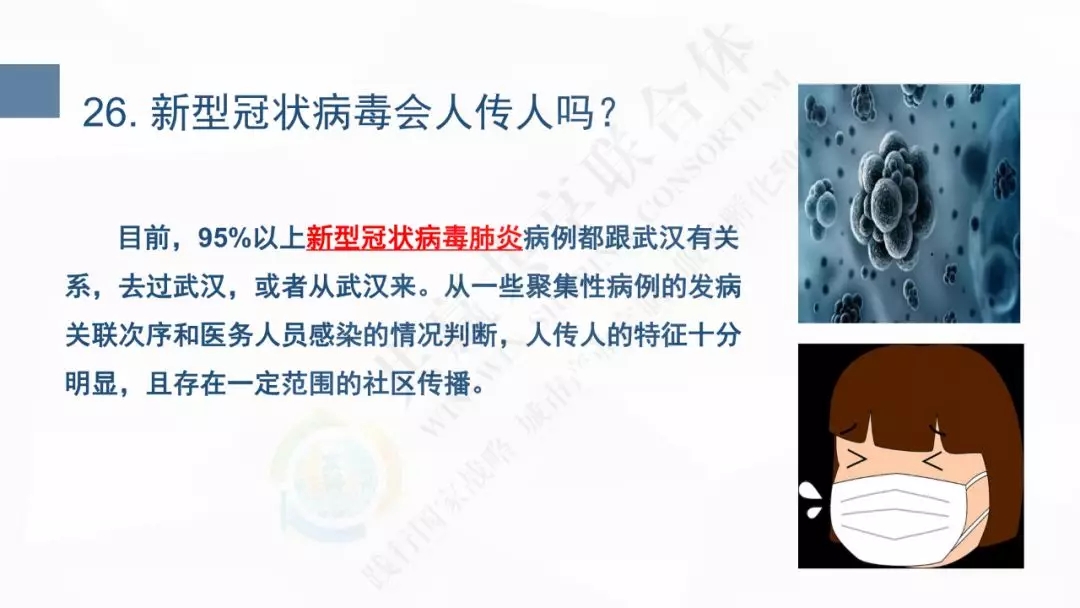 12.webp