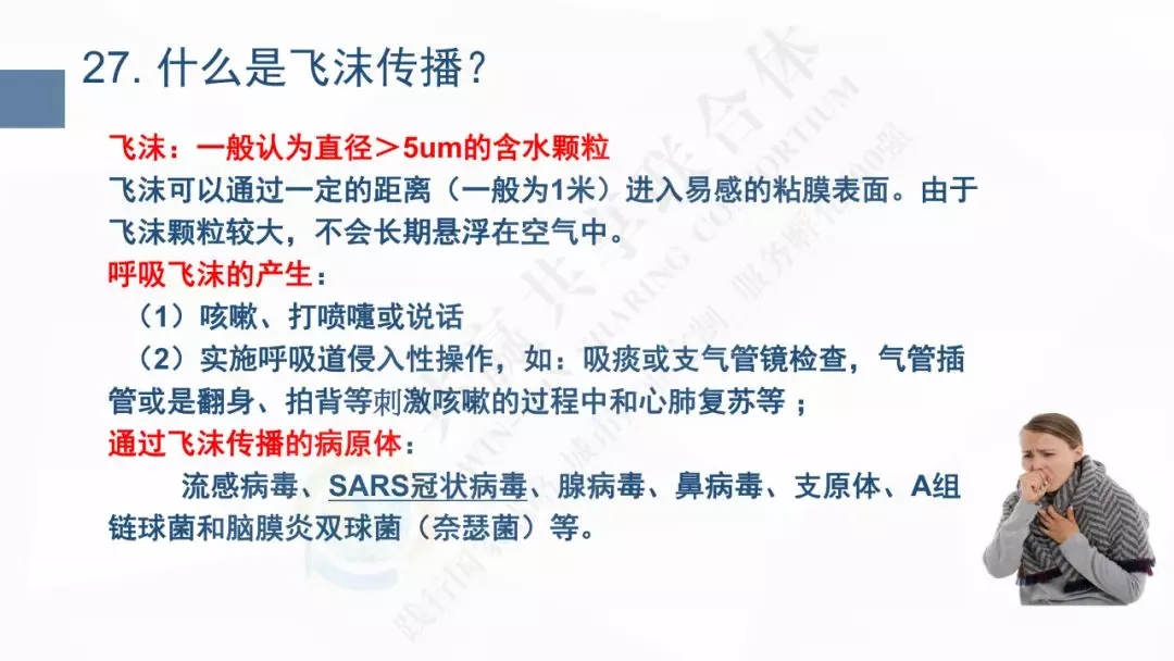 13.webp