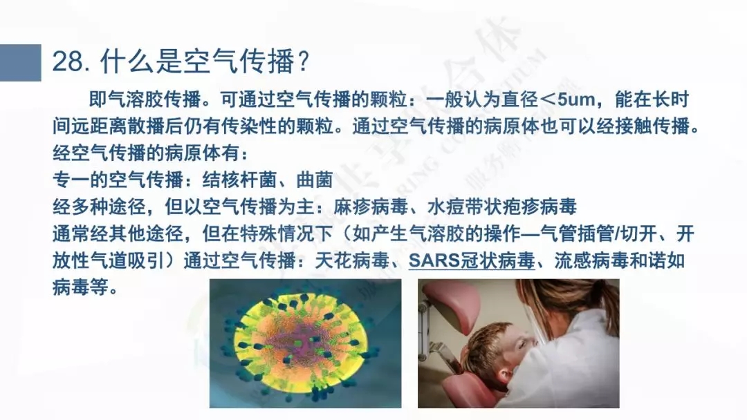 14.webp