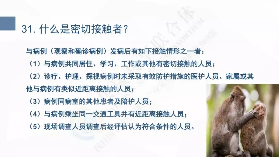 17.webp