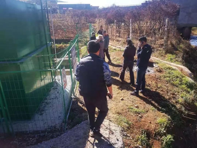 微信图片_20200207183638