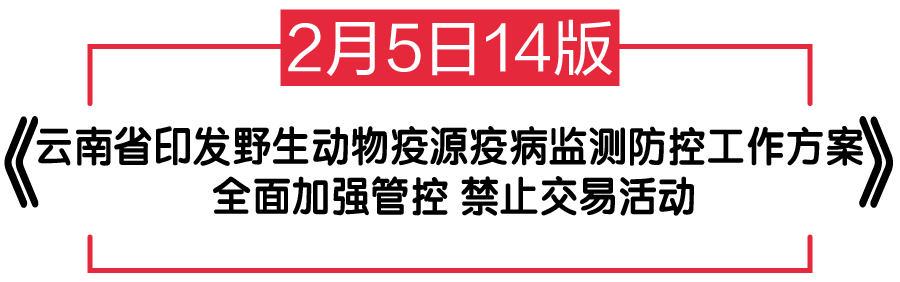 25141.png