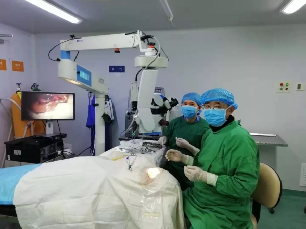 640.webp (9) 640.webp (9)