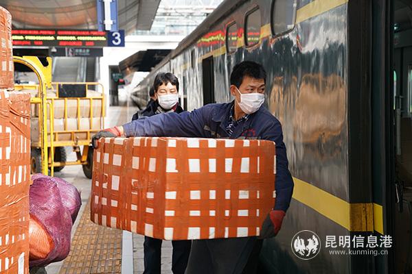 日均运输鲜花220件，云南铁路确保“云花”出滇。供图 通讯员邓瑜 陈瑞 张灏2