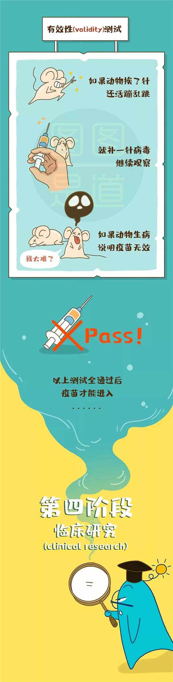 4.webp