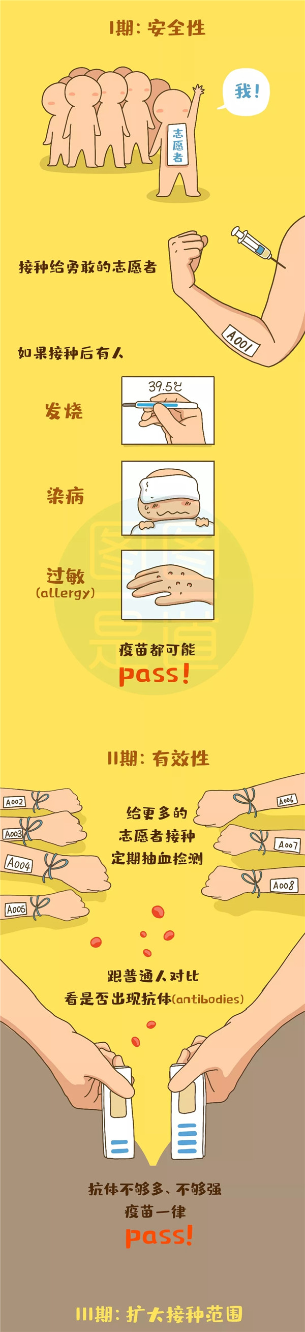 5.webp