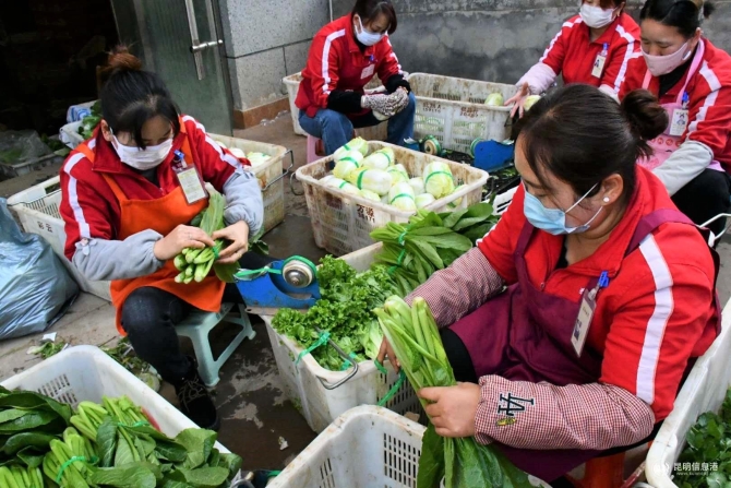 微信图片_20200215134512