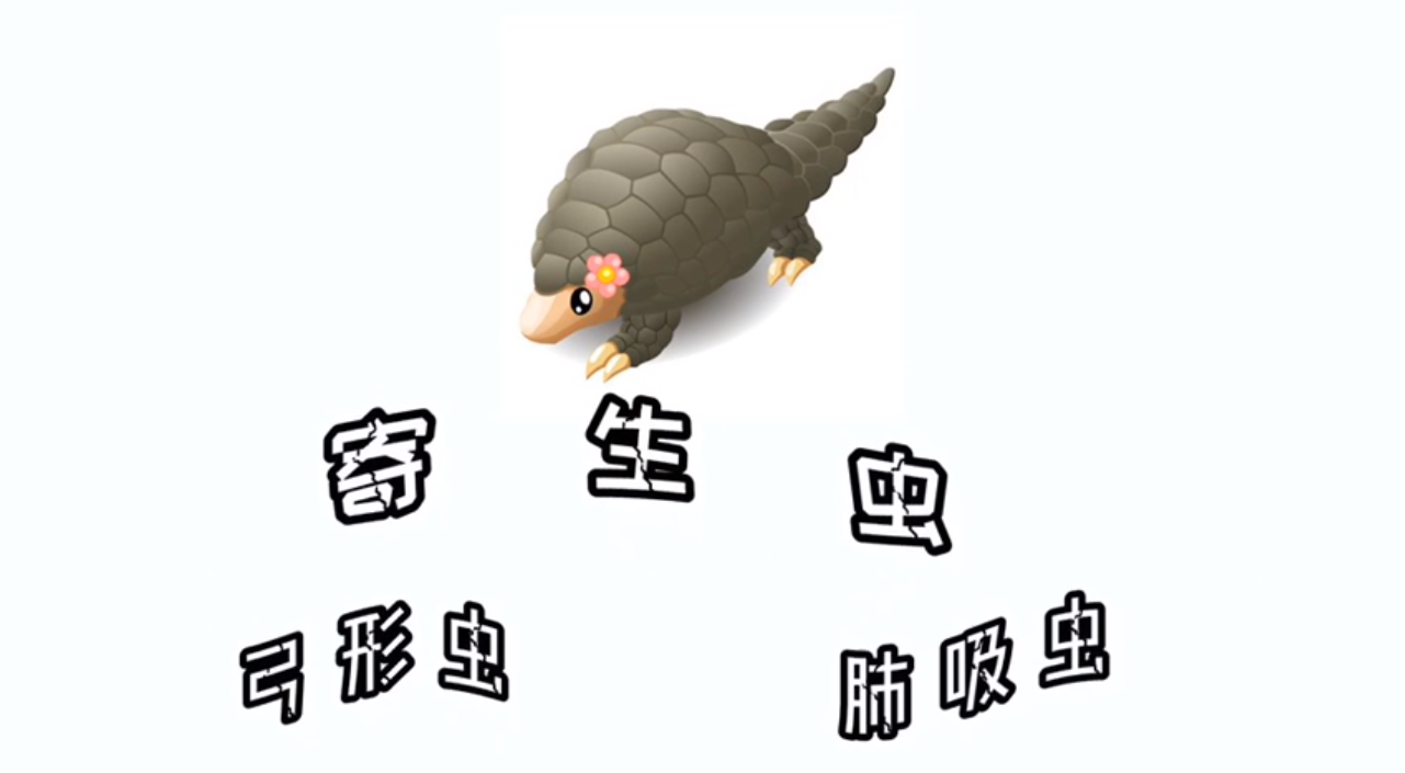点击观看视频