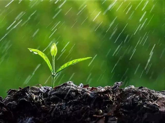 今日雨水