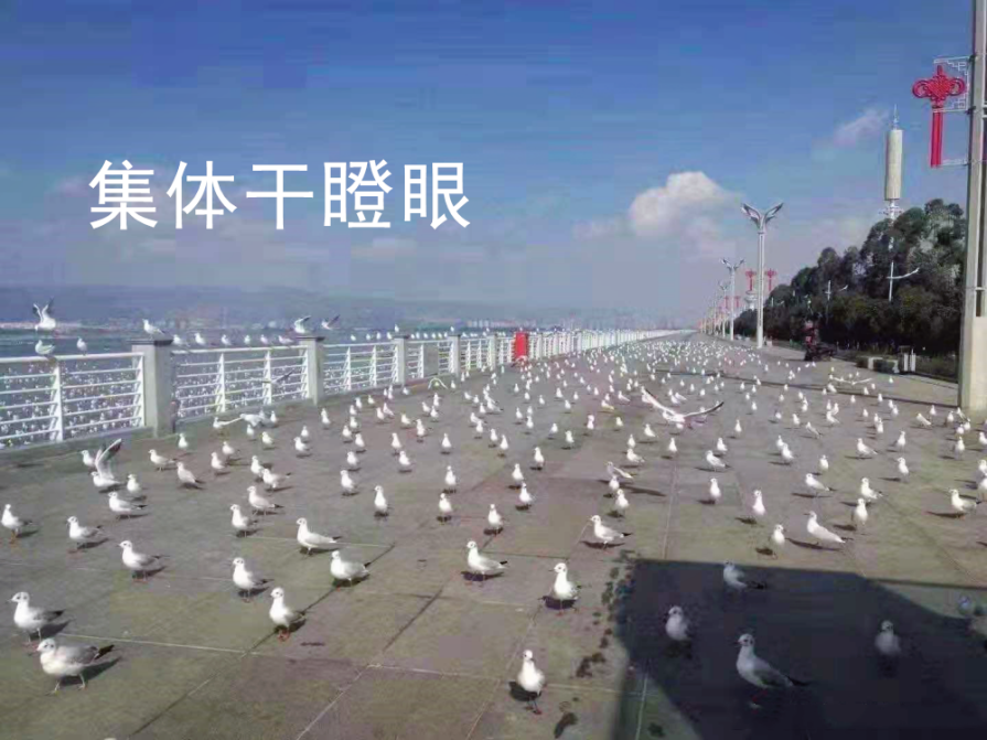 图片17