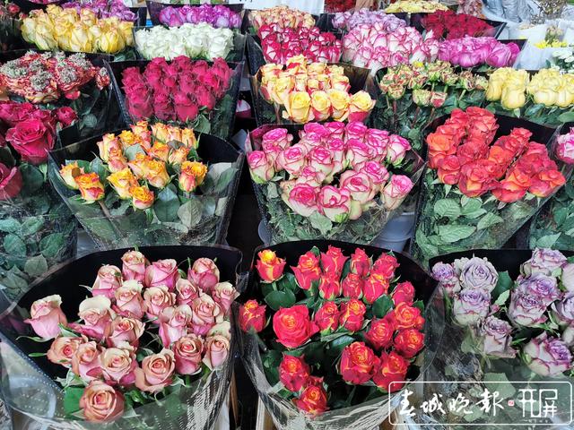 斗南花市图片(拍于1月14日) (3).jpg