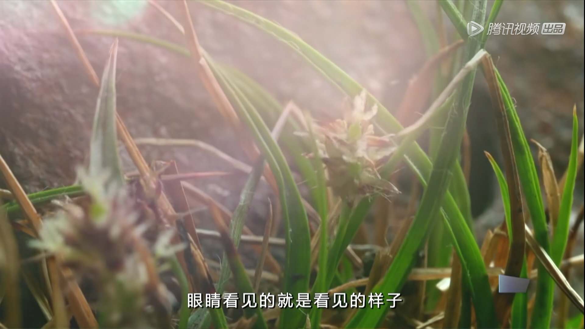 微信图片_20200223221113.jpg