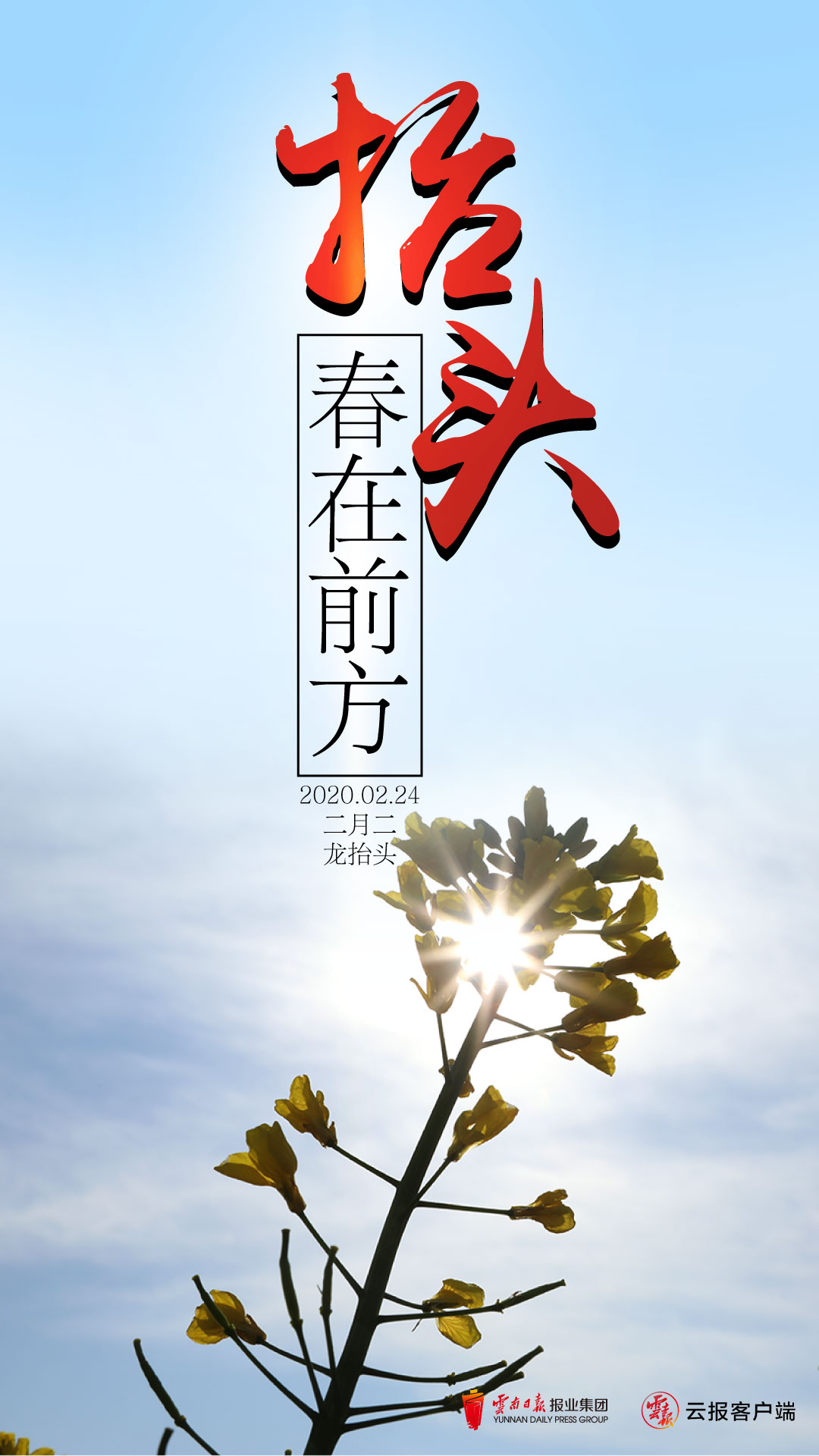 微信图片_20200224155149.jpg