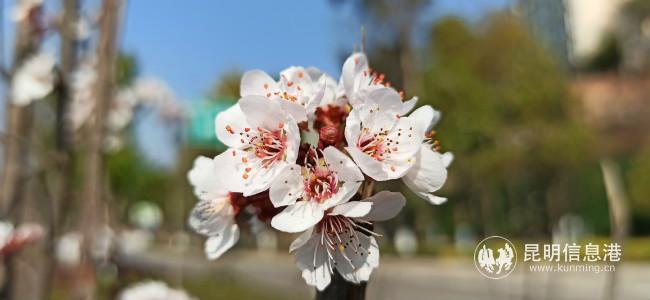 IMG_20200221_155531