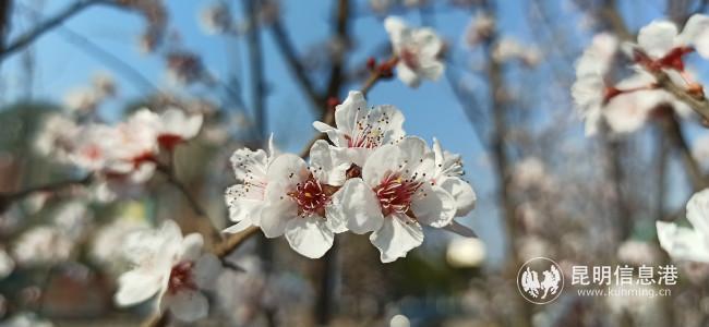 IMG_20200221_160303