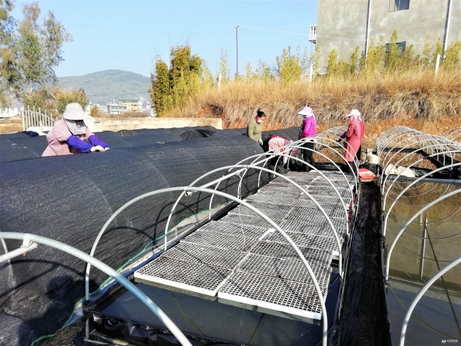 f23a7094ae8a40f1277ee338a8100c6 f23a7094ae8a40f1277ee338a8100c6