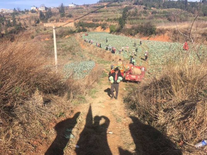 微信图片_20200228143124