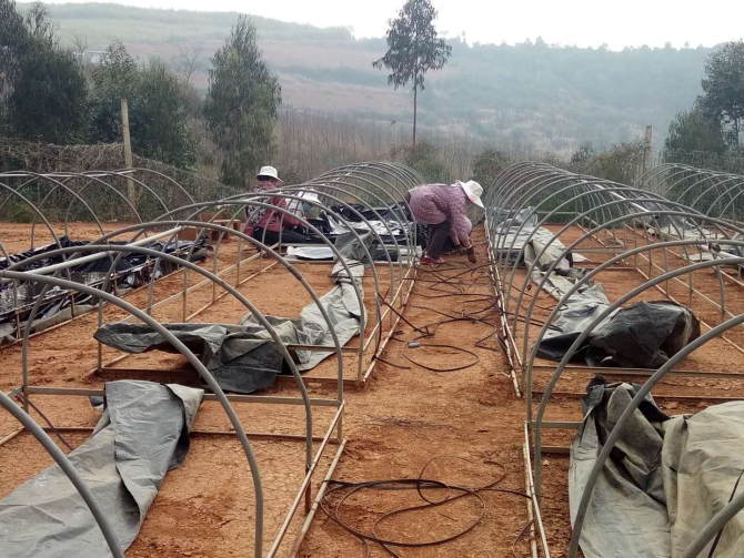 微信图片_202002281431244