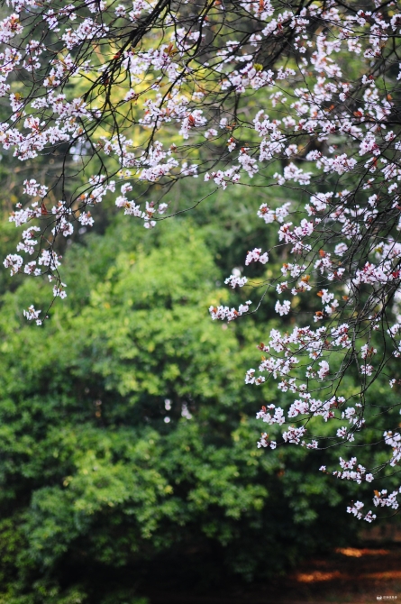 Cache_51bf051d8bb21623. Cache_51bf051d8bb21623.