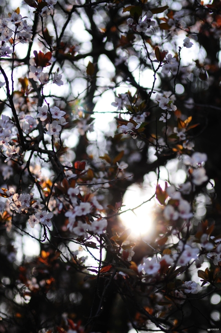 Cache_-590da877f9fb6c3d. Cache_-590da877f9fb6c3d.