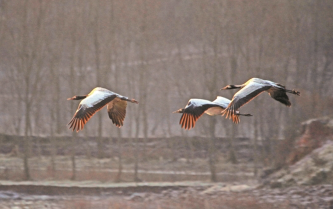 WX20200229-092240@2x