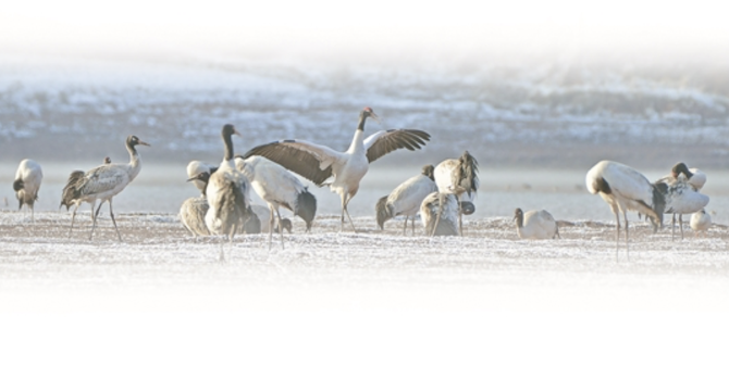 WX20200229-092253@2x