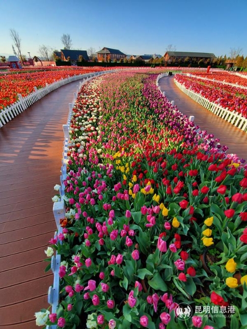 微信图片_20200302173916