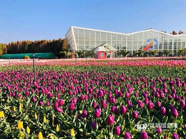 微信图片_20200302174206