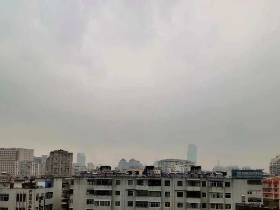 春雨